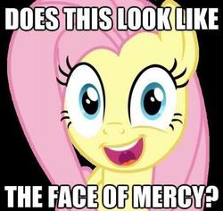 Size: 559x527 | Tagged: safe, fluttershy, g4, fluttersatan, image macro