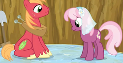 Size: 578x299 | Tagged: safe, screencap, big macintosh, cheerilee, earth pony, pony, g4, hearts and hooves day (episode), female, hearts and hooves day, hole, male, mare, mattress, out of context, shovel, sitting, stallion, wedding veil