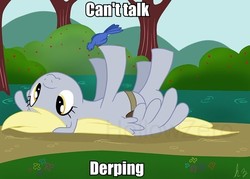 Size: 600x429 | Tagged: safe, derpy hooves, bird, pegasus, pony, g4, derp, derping, female, image macro, mare, on back, solo