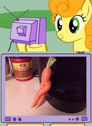 Size: 563x771 | Tagged: safe, carrot top, golden harvest, pony, g4, carrot, exploitable meme, meme, tv meme