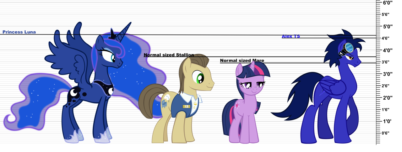 My Little Pony Height Chart.