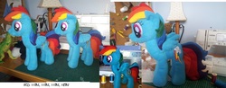 Size: 1335x524 | Tagged: safe, artist:steen85, rainbow dash, g4, irl, photo, plushie