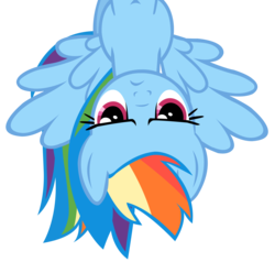 Size: 3000x2850 | Tagged: safe, artist:vexorb, rainbow dash, g4, simple background, transparent background, vector