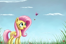Size: 1500x1000 | Tagged: dead source, safe, artist:polkin, fluttershy, butterfly, insect, ladybug, g4, cloud, female, flower, grass, solo