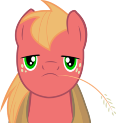 Size: 281x300 | Tagged: safe, artist:juicy-cactus, big macintosh, earth pony, pony, g4, face, male, simple background, stallion, transparent background, vector