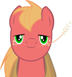 Size: 281x300 | Tagged: safe, artist:juicy-cactus, edit, big macintosh, earth pony, pony, g4, bedroom eyes, face, inverted mouth, male, stallion