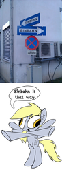 Size: 500x1380 | Tagged: safe, derpy hooves, pegasus, pony, g4, female, mare, photo, sign