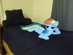 Size: 3648x2736 | Tagged: safe, artist:lopezak, rainbow dash, pegasus, pony, g4, bed, bedroom eyes, female, irl, looking at you, mare, photo, ponies in real life, smiling, solo, vector