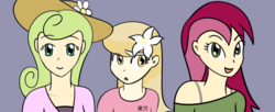 Size: 1200x489 | Tagged: safe, artist:why485, daisy, flower wishes, lily, lily valley, roseluck, human, g4, clothes, female, flower, flower in hair, flower trio, hat, humanized, trio, trio female