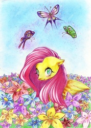 Size: 1155x1625 | Tagged: safe, artist:dannyckoo, fluttershy, pony, g4, female, solo, traditional art