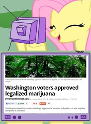 Size: 604x827 | Tagged: dead source, safe, fluttershy, pony, g4, exploitable meme, marijuana, meme, tv meme