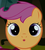 Size: 228x251 | Tagged: safe, edit, edited screencap, screencap, scootaloo, g4, season 1, stare master, cropped, faic, oooooh, reaction image, scootastare, stare