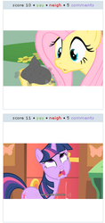 Size: 197x417 | Tagged: safe, screencap, fluttershy, philomena, twilight sparkle, derpibooru, a bird in the hoof, g4, my little pony: friendship is magic, ash, exploitable meme, face, juxtaposition, juxtaposition win, unreadable text