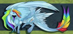 Size: 900x421 | Tagged: safe, artist:qwertydragon, rainbow dash, dragon, feathered dragon, g4, dragonified, female, obtrusive watermark, rainbow dragon, solo, species swap, watermark