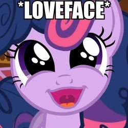 Size: 436x436 | Tagged: safe, twilight sparkle, pony, g4, faic, image macro, love face, ponyface, solo