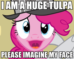 Size: 758x608 | Tagged: safe, pinkie pie, g4, faic, image macro, ponyface, tulpa