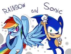 Size: 1024x768 | Tagged: safe, artist:extradan, rainbow dash, pony, g4, crossover, male, simple background, sonic the hedgehog, sonic the hedgehog (series), transparent background