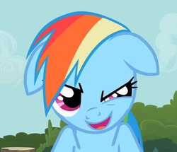 Size: 779x669 | Tagged: safe, screencap, rainbow dash, pony, g4, my little pony: friendship is magic, the mysterious mare do well, evil smile, female, floppy ears, grin, smiling, solo