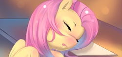 Size: 1000x468 | Tagged: safe, artist:bakki, fluttershy, g4, blushing, bust, eyes closed, portrait, sleeping, solo