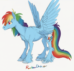 Size: 900x864 | Tagged: safe, artist:xenon, rainbow dash, pony, g4, female, realistic, solo, unshorn fetlocks