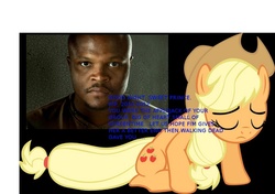 Size: 920x649 | Tagged: safe, applejack, g4, barely pony related, meta, t-dog, the walking dead, walking dead spoilers