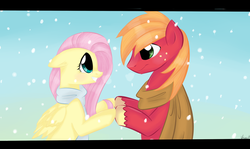 Size: 900x535 | Tagged: safe, artist:marisalle, big macintosh, fluttershy, earth pony, pony, g4, clothes, male, scarf, ship:fluttermac, shipping, stallion, straight