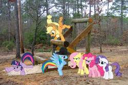 Size: 1440x960 | Tagged: safe, artist:dontae98, applejack, fluttershy, pinkie pie, rainbow dash, rarity, twilight sparkle, pony, g4, hat, irl, mane six, obstacle course, photo, ponies in real life, vector