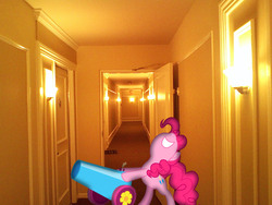 Size: 1600x1200 | Tagged: safe, artist:bjtmugen, pinkie pie, earth pony, pony, g4, door, hallway, irl, party cannon, photo, ponies in real life, vector