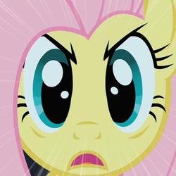 Size: 720x720 | Tagged: safe, screencap, fluttershy, pony, g4, stare master, cropped, female, looking at you, solo, stare, the stare