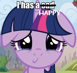 Size: 960x906 | Tagged: safe, edit, edited screencap, screencap, twilight sparkle, g4, image macro, inverted mouth, tears of joy