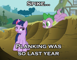 Size: 500x390 | Tagged: safe, spike, twilight sparkle, g4, planking