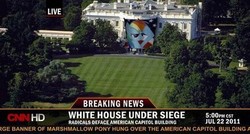 Size: 497x266 | Tagged: safe, rainbow dash, g4, cable news network, cnn, news, photo, white house