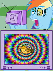 Size: 800x1065 | Tagged: safe, rainbow dash, pony, g4, exploitable meme, futurama, hypnotoad, male, meme, tv meme