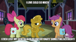 Size: 844x468 | Tagged: safe, edit, edited screencap, screencap, apple bloom, scootaloo, sweetie belle, pegasus, pony, unicorn, g4, austin powers, austin powers in goldmember, caption, cutie mark crusaders, female, filly, foal, goldmember, groin attack, image macro, implied castration, johann van der smut, meme, sweetie gold