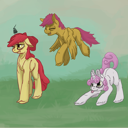 Size: 1280x1280 | Tagged: safe, artist:erijt, apple bloom, scootaloo, sweetie belle, g4, cutie mark crusaders, unshorn fetlocks