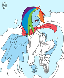 Size: 500x614 | Tagged: safe, artist:efd, rainbow dash, anthro, g4, human facial structure