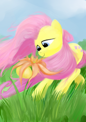 Size: 724x1024 | Tagged: dead source, safe, artist:rubrony, fluttershy, pegasus, pony, g4, female, flower, grass, mare, sky, smiling, solo