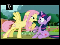 Size: 720x540 | Tagged: safe, screencap, fluttershy, twilight sparkle, g4, magic duel