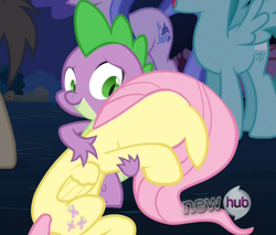 Size: 548x467 | Tagged: safe, screencap, doctor whooves, fluttershy, sea swirl, seafoam, spike, spring melody, sprinkle medley, time turner, g4, magic duel, my little pony: friendship is magic, cropped