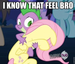 Size: 548x467 | Tagged: safe, fluttershy, spike, g4, magic duel, female, male, meme, ship:flutterspike, shipping, straight