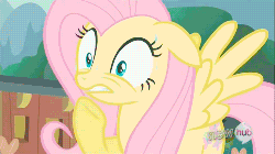 Size: 500x281 | Tagged: safe, screencap, fluttershy, g4, magic duel, animated, female