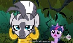 Size: 787x461 | Tagged: safe, screencap, twilight sparkle, zecora, zebra, g4, magic duel, everfree forest, hub logo, hubble, islam, the hub, united states, youtube caption