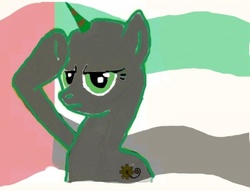 Size: 640x488 | Tagged: safe, artist:789jax789, pony, flag, nation ponies, national flag, ponified, rainbow dash salutes, salute, solo, united arab emirates