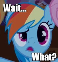 Size: 336x358 | Tagged: safe, rainbow dash, g4, image macro, incredulous, reaction image