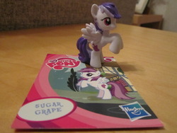 Size: 1024x768 | Tagged: safe, sugar grape, pony, g4, blind bag, collector card, irl, photo, toy