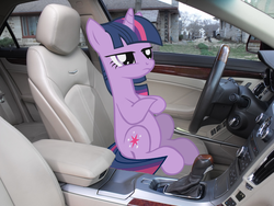 Size: 3648x2736 | Tagged: safe, artist:the-intimidator, twilight sparkle, g4, car, car interior, driving, interior, irl, photo, ponies in real life