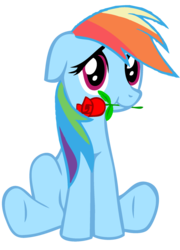 Size: 2860x3972 | Tagged: safe, artist:rontoday2012, rainbow dash, g4, rose, simple background, transparent background, vector