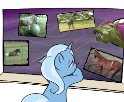 Size: 500x415 | Tagged: safe, trixie, horse, g4, animated, irl