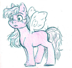Size: 500x470 | Tagged: safe, artist:gezibing, oc, oc only, flutter pony, g1, female, mare, sketch, solo, spread wings, tail, traditional art, wings