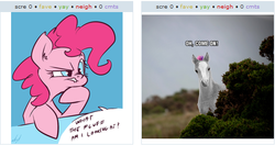 Size: 520x275 | Tagged: safe, artist:atryl, pinkie pie, sweetie belle, derpibooru, g4, exploitable meme, juxtaposition, juxtaposition win, meta